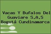 Vacas Y Bufalos Del Guaviare S.A.S Bogotá Cundinamarca