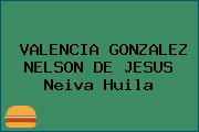 VALENCIA GONZALEZ NELSON DE JESUS Neiva Huila
