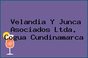 Velandia Y Junca Asociados Ltda. Cogua Cundinamarca