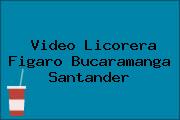 Video Licorera Figaro Bucaramanga Santander