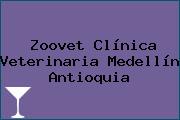Zoovet Clínica Veterinaria Medellín Antioquia