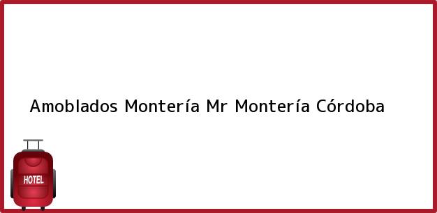 Teléfono, Dirección y otros datos de contacto para Amoblados Montería Mr, Montería, Córdoba, Colombia