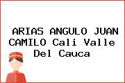 ARIAS ANGULO JUAN CAMILO Cali Valle Del Cauca