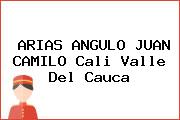 Ver arias angulo juan camilo cali valle del cauca ARIAS ANGULO JUAN CAMILO Cali Valle Del Cauca