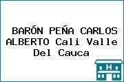 BARÓN PEÑA CARLOS ALBERTO Cali Valle Del Cauca
