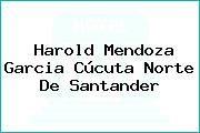 Harold Mendoza Garcia Cúcuta Norte De Santander