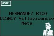 HERNANDEZ RICO DISNEY Villavicencio Meta