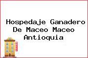 Hospedaje Ganadero De Maceo Maceo Antioquia