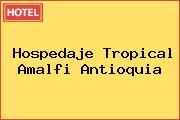 Hospedaje Tropical Amalfi Antioquia