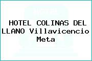 HOTEL COLINAS DEL LLANO Villavicencio Meta