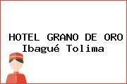HOTEL GRANO DE ORO Ibagué Tolima