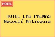 HOTEL LAS PALMAS Necoclí Antioquia