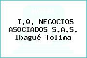 I.Q. NEGOCIOS ASOCIADOS S.A.S. Ibagué Tolima
