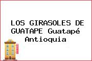 LOS GIRASOLES DE GUATAPE Guatapé Antioquia