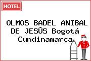 OLMOS BADEL ANIBAL DE JESÚS Bogotá Cundinamarca