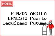 PINZON ARDILA ERNESTO Puerto Leguízamo Putumayo