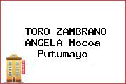 TORO ZAMBRANO ANGELA Mocoa Putumayo