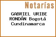 GABRIEL URIBE RONDÁN Bogotá Cundinamarca