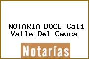 NOTARIA DOCE Cali Valle Del Cauca