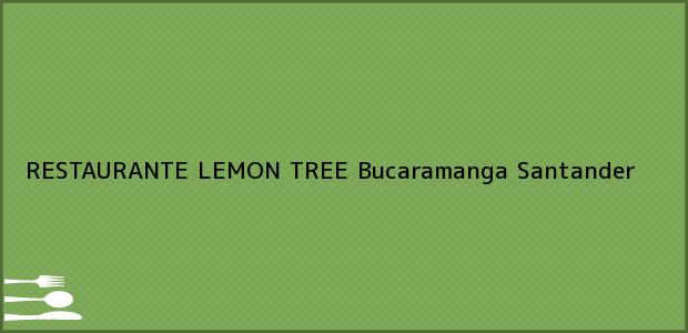 Teléfono, Dirección y otros datos de contacto para RESTAURANTE LEMON TREE, Bucaramanga, Santander, Colombia