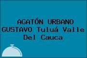 AGATÓN URBANO GUSTAVO Tuluá Valle Del Cauca