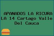 APANADOS LA RICURA LA 14 Cartago Valle Del Cauca