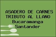 ASADERO DE CARNES TRIBUTO AL LLANO Bucaramanga Santander
