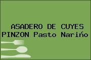 ASADERO DE CUYES PINZON Pasto Nariño