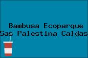 Bambusa Ecoparque Sas Palestina Caldas