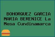 BOHORQUEZ GARCIA MARIA BERENICE La Mesa Cundinamarca