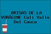 BRISAS DE LA VORÁGINE Cali Valle Del Cauca
