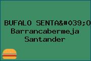 BUFALO SENTA'O Barrancabermeja Santander