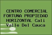 CENTRO COMERCIAL FORTUNA PROPIEDAD HORIZONTAL Cali Valle Del Cauca