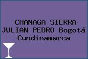 CHANAGA SIERRA JULIAN PEDRO Bogotá Cundinamarca