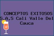 CONCEPTOS EXITOSOS S.A.S Cali Valle Del Cauca