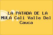 LA PATADA DE LA MULA Cali Valle Del Cauca