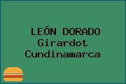 LEÓN DORADO Girardot Cundinamarca