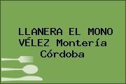 LLANERA EL MONO VÉLEZ Montería Córdoba