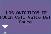 LOS ANTOJITOS DE PUCCA Cali Valle Del Cauca
