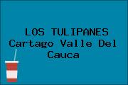 LOS TULIPANES Cartago Valle Del Cauca