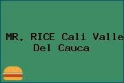 MR. RICE Cali Valle Del Cauca