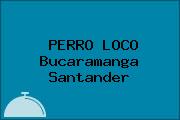 PERRO LOCO Bucaramanga Santander