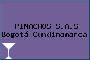 PINACHOS S.A.S Bogotá Cundinamarca