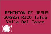 REMINTON DE JESUS SORACA RICO Tuluá Valle Del Cauca