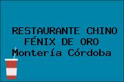 RESTAURANTE CHINO FÉNIX DE ORO Montería Córdoba