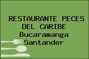 RESTAURANTE PECES DEL CARIBE Bucaramanga Santander