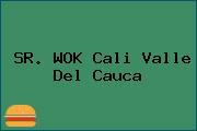 SR. WOK Cali Valle Del Cauca