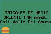 TRIGALES DE MEDIO ORIENTE PAN ARABE Cali Valle Del Cauca