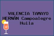 VALENCIA TAMAYO HERNÁN Campoalegre Huila