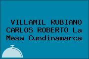 VILLAMIL RUBIANO CARLOS ROBERTO La Mesa Cundinamarca